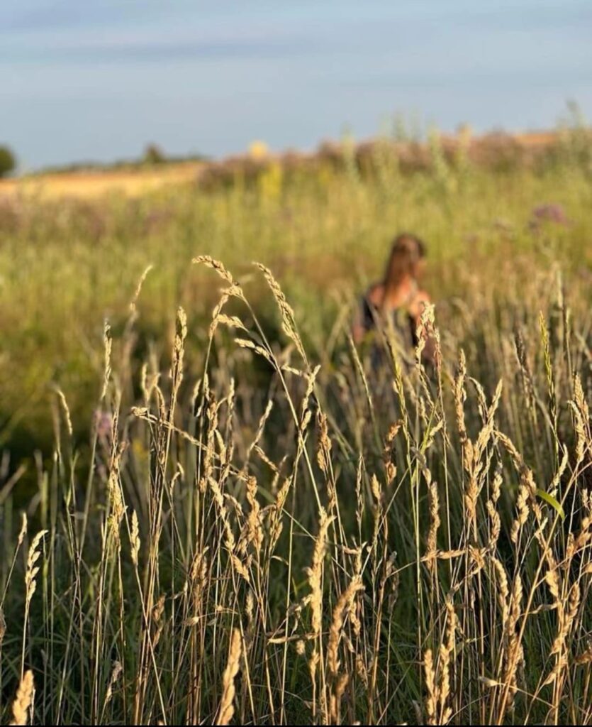 Kräuterwanderung